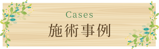 Cases 施術事例